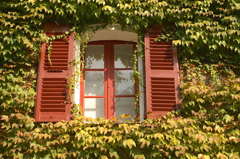 Fenster im Grünen