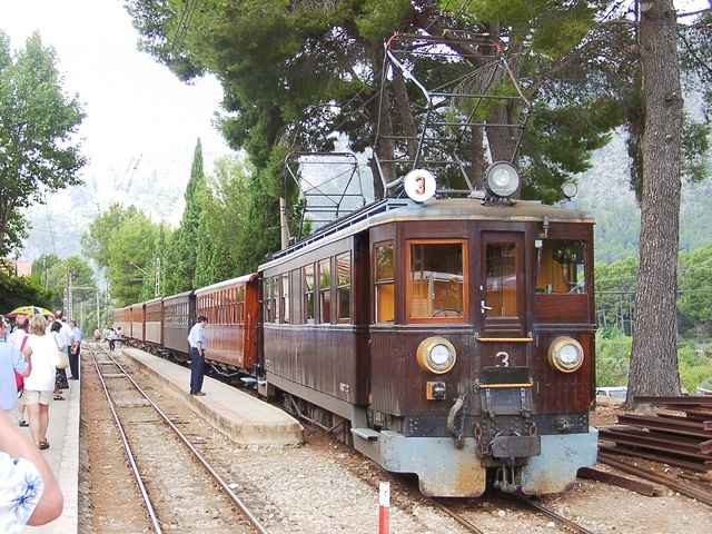mal0113.jpg
