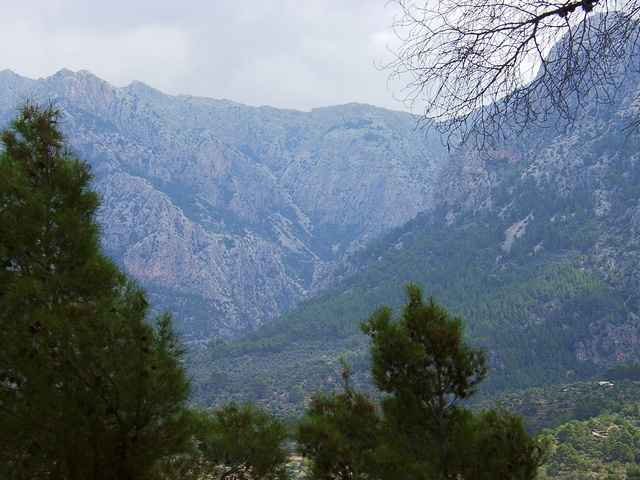 mal0116.jpg