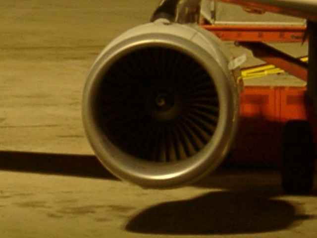 mal0139.jpg