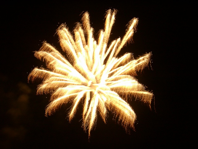 rif0109.jpg