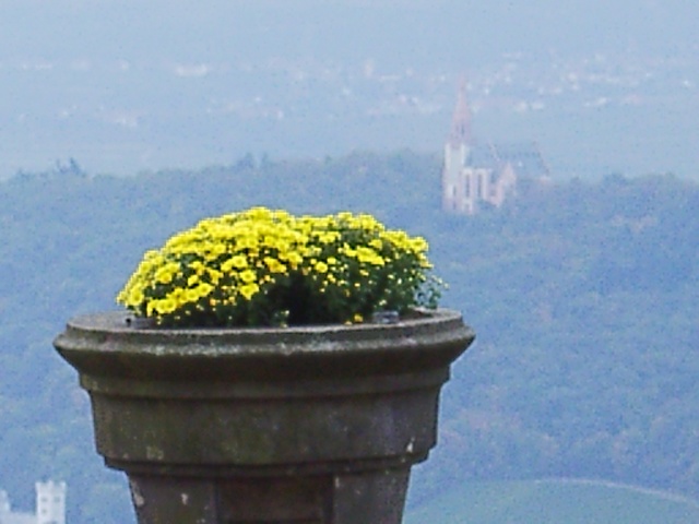 rif0117.jpg